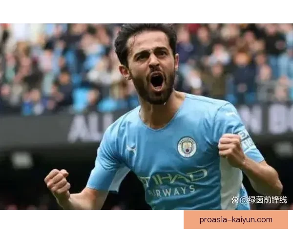 贝尔纳多技术大师